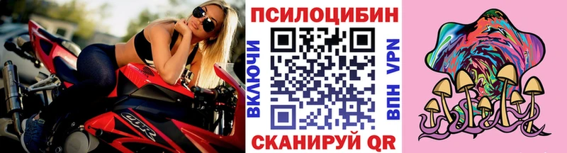 маркетплейс официальный сайт  Кисловодск  Галлюциногенные грибы Psilocybe 